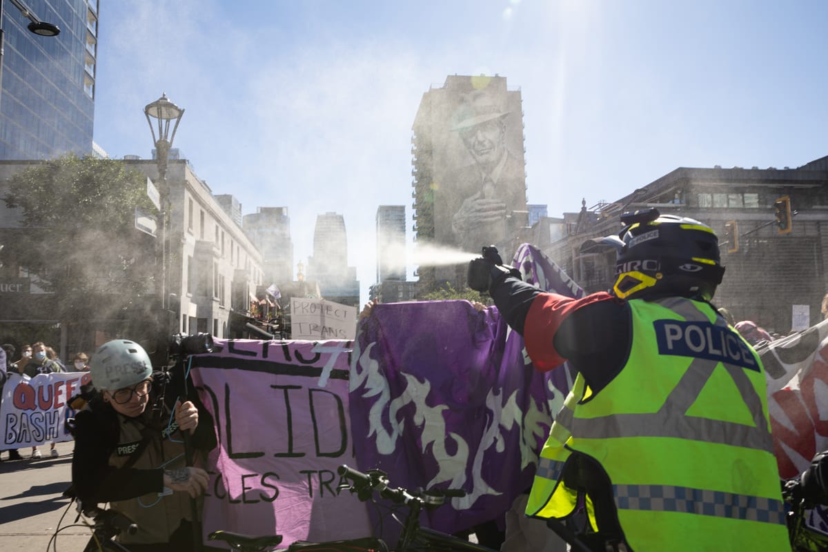 What has your support produced this year?