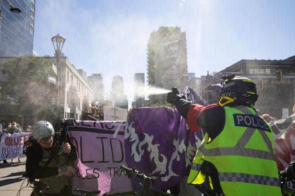 What has your support produced this year?