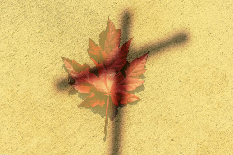 Two Catholics, Two Visions for Canada/Deux catholiques, deux visions du Canada