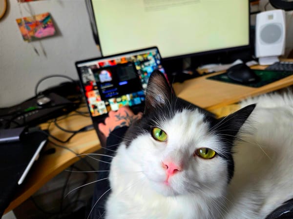 Here's what to expect from On the Trail (Isaac Peltz) in 2026