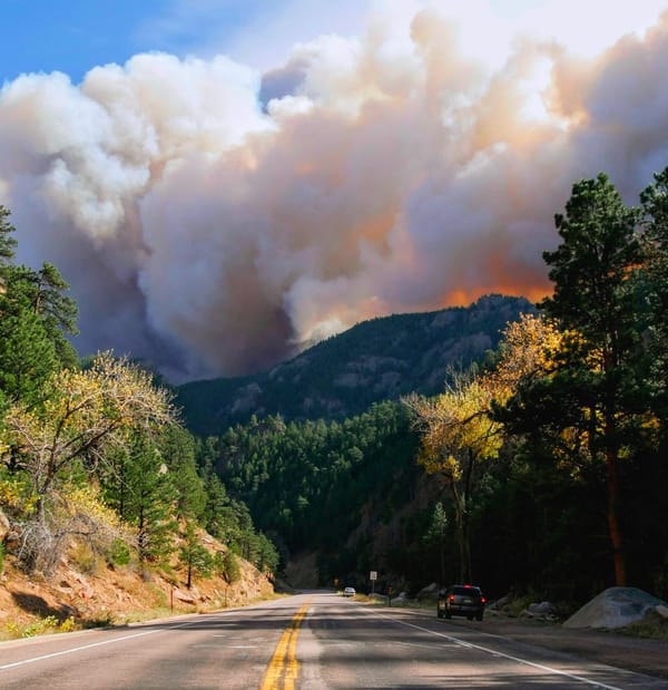 Adapt or Choke: The Urgent Need for a National Strategy on Wildfires