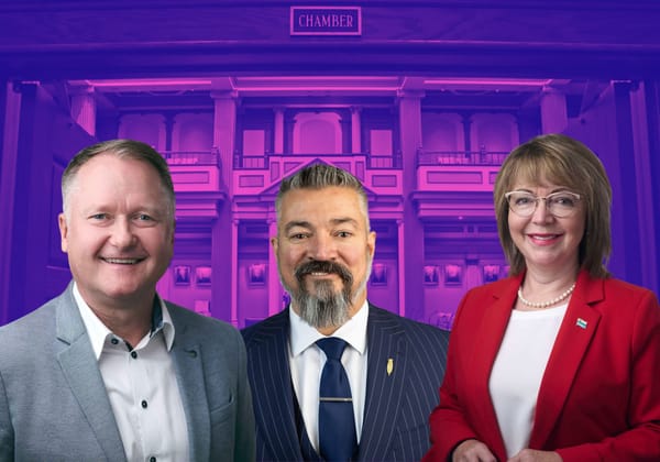 Liberal cabinet ministers, PC MHA have not filed public disclosures: Commissioner